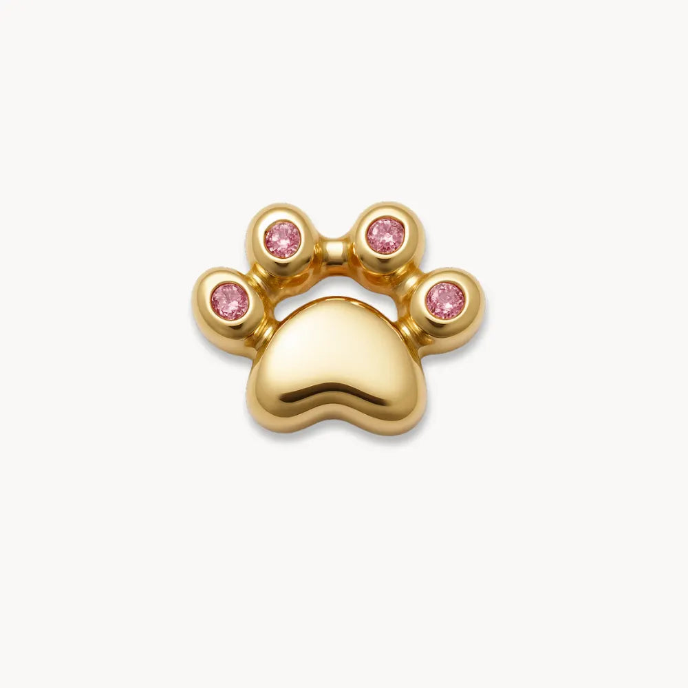 Paw Charm